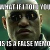 What if I told you this is a false memory